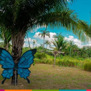 MARIPOSA