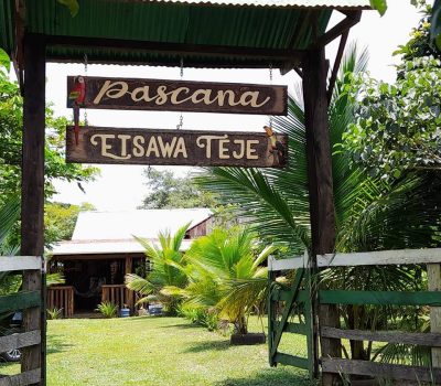 Pascana E